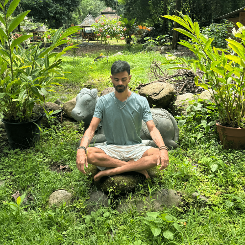 Services - Full Reset